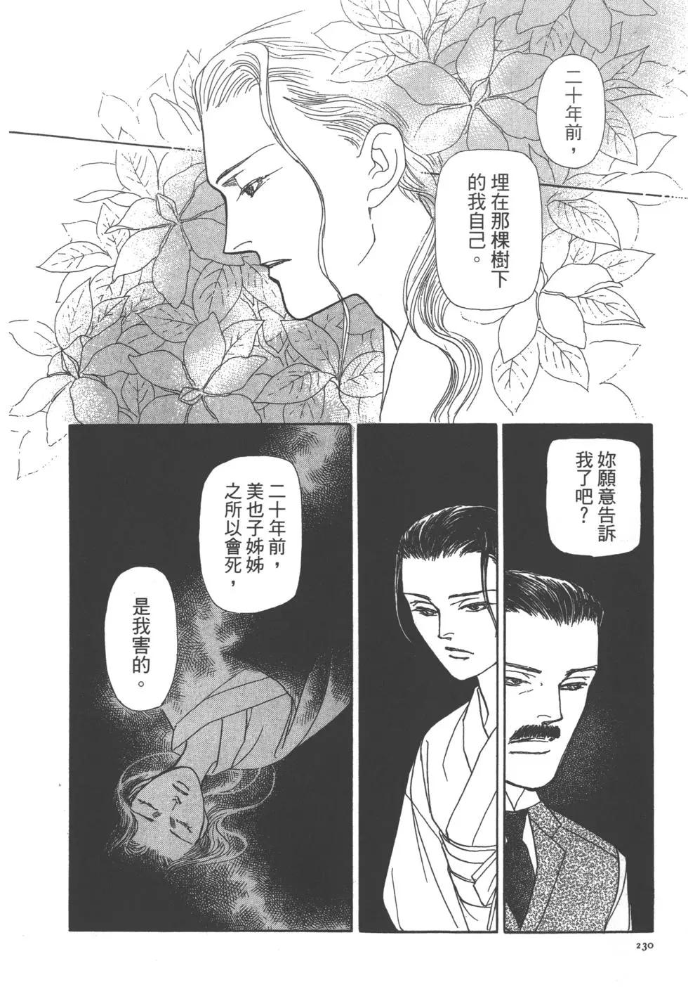 第11卷244