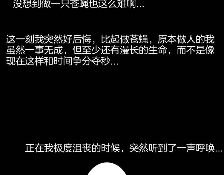 第182话 苍蝇人生103