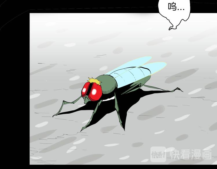 第182话 苍蝇人生15