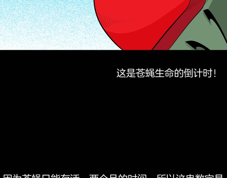 第182话 苍蝇人生33