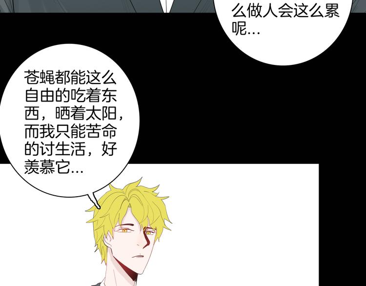 第182话 苍蝇人生5