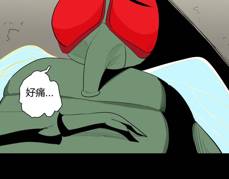 第182话 苍蝇人生59