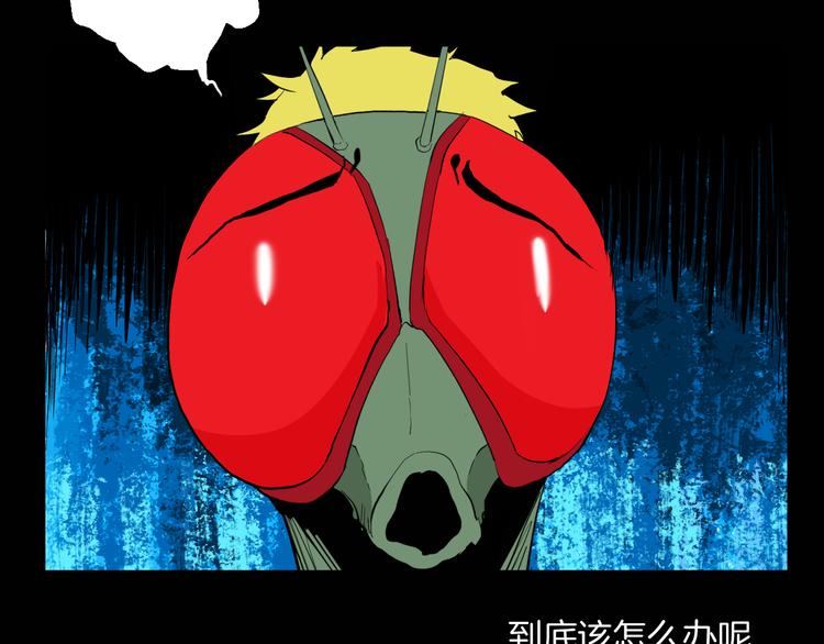 第182话 苍蝇人生78