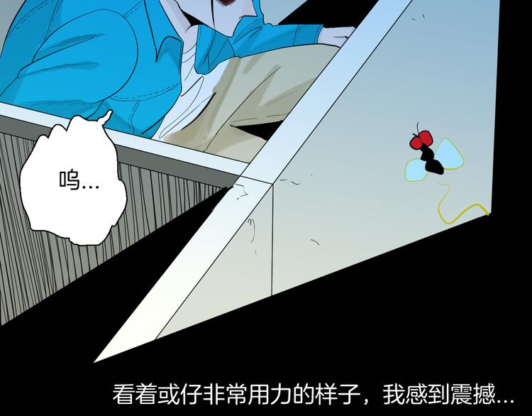 第182话 苍蝇人生83
