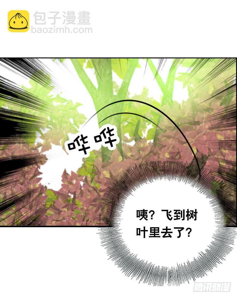 012 许愿条不给力！30