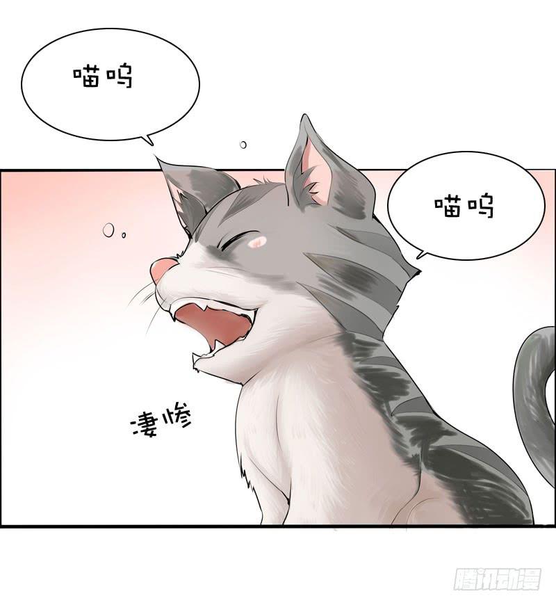 034 日记中的回忆……7