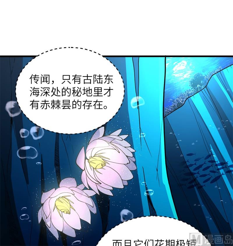 117 交易29