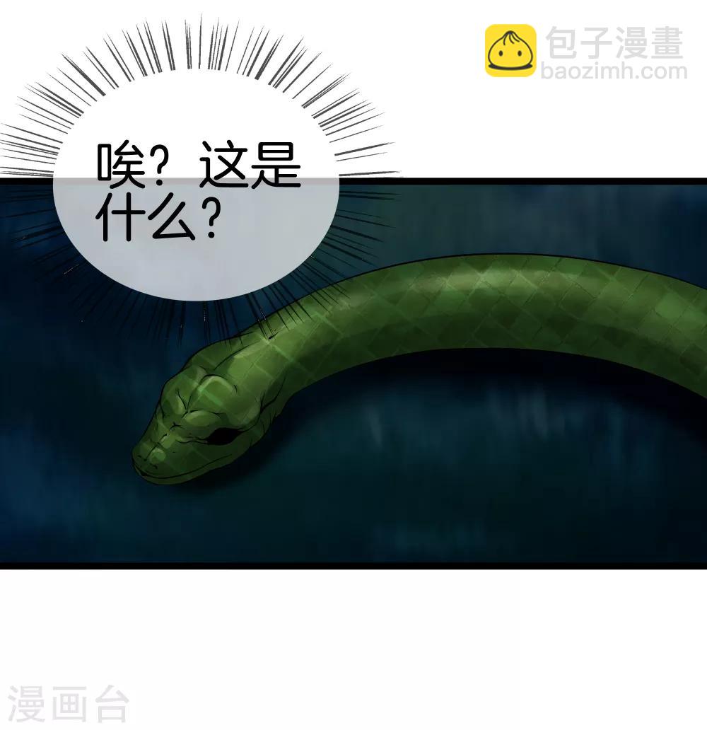 第29话 追踪器24