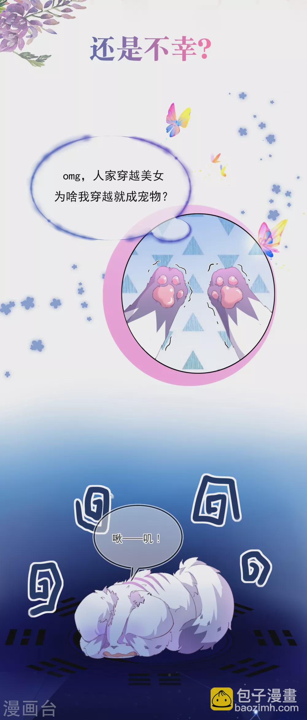 预告5
