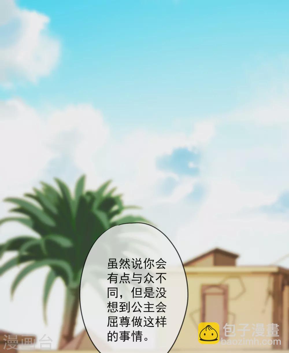 第8话 不一样的公主4