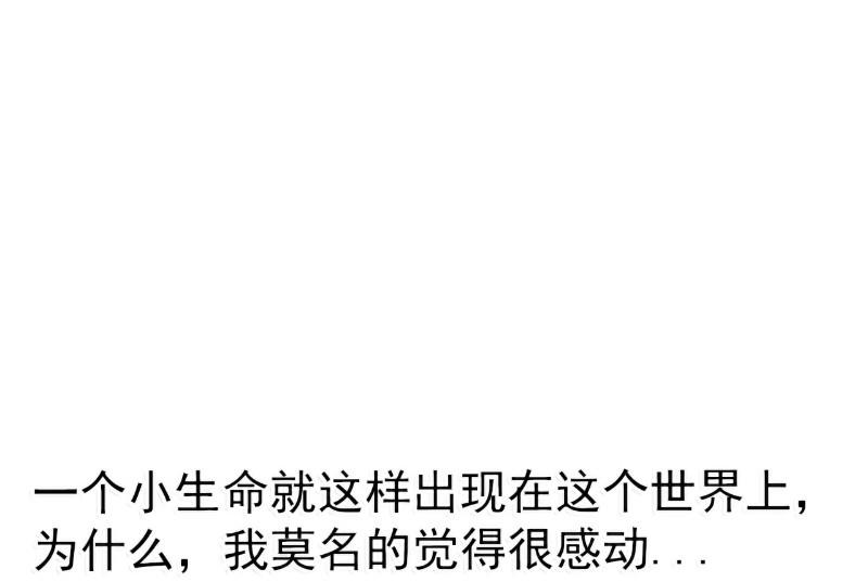 第88话 就叫他小豆子吧！20