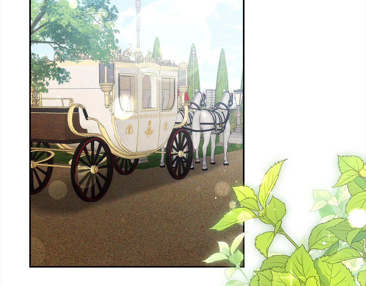 第3话 遇见猫咪公爵？153