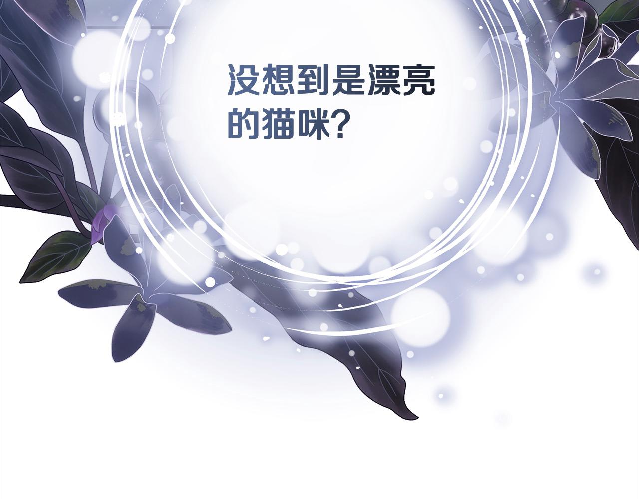 第3话 遇见猫咪公爵？256