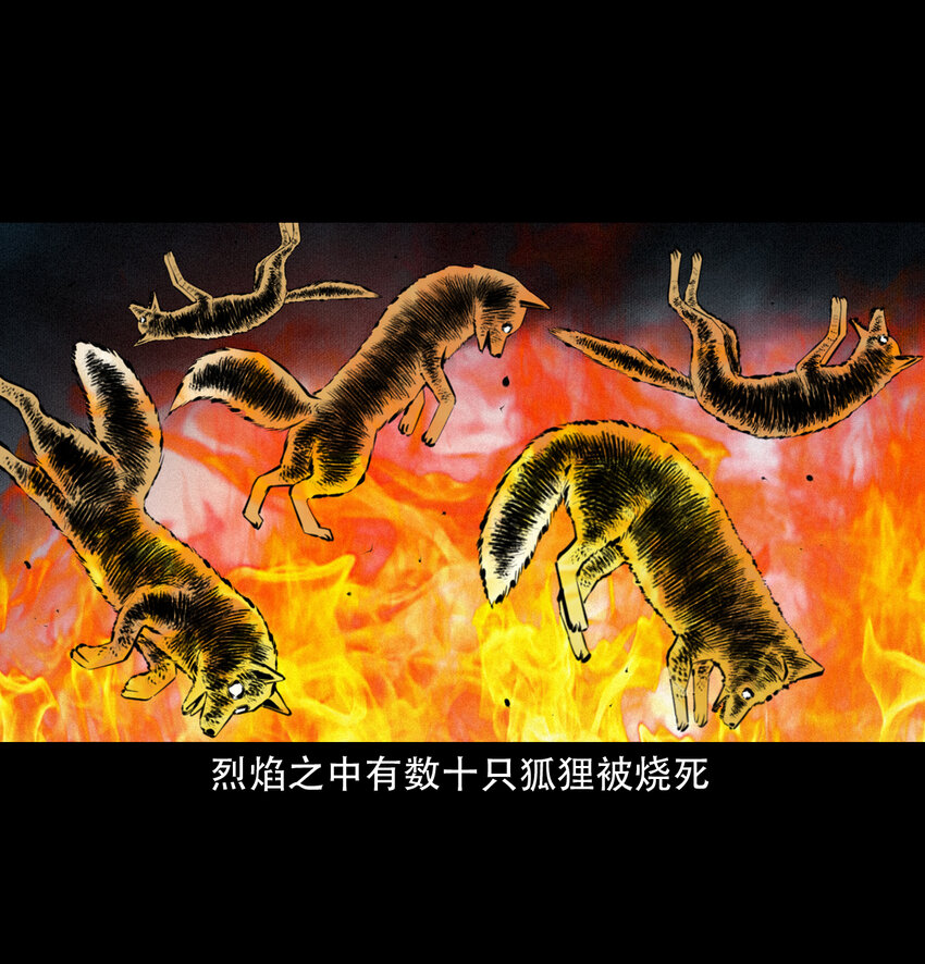19 19话报应循环28
