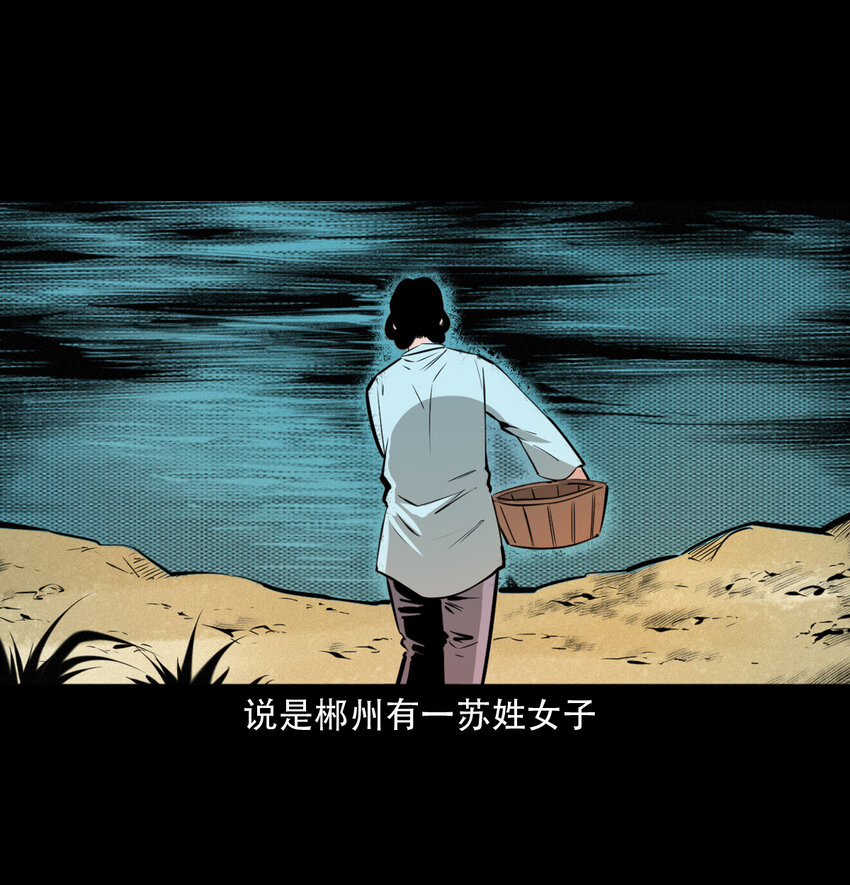 40 第40话苏仙1