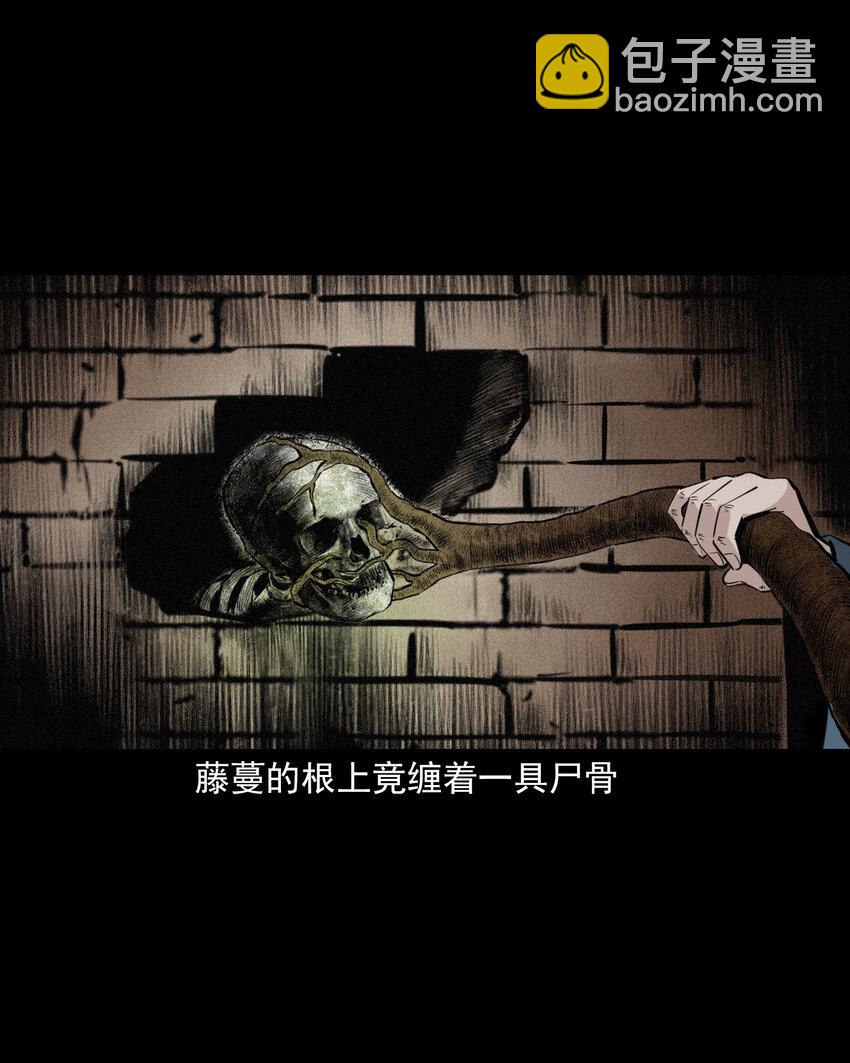 61 第61话美人头42