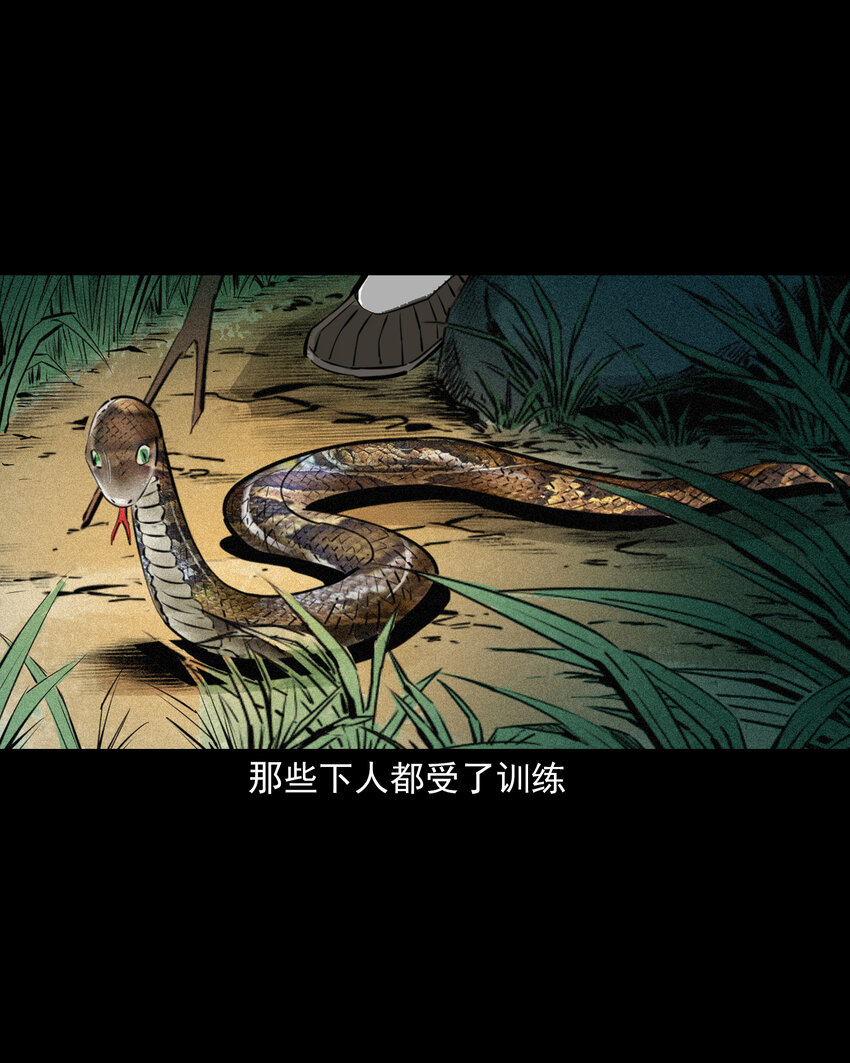 66 第66话蛇仙庙8