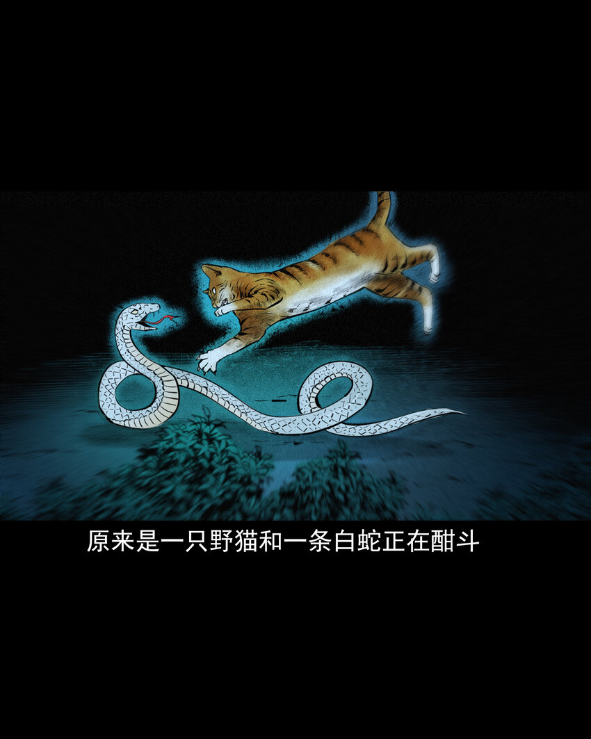 71 第71话蛇妻12