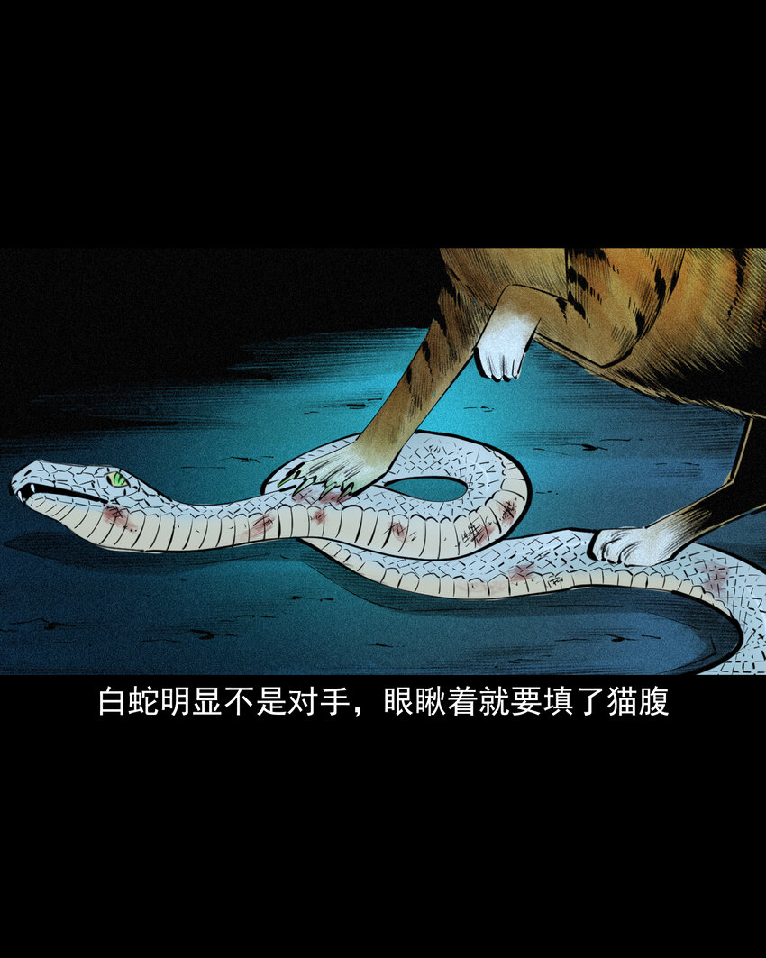 71 第71话蛇妻13