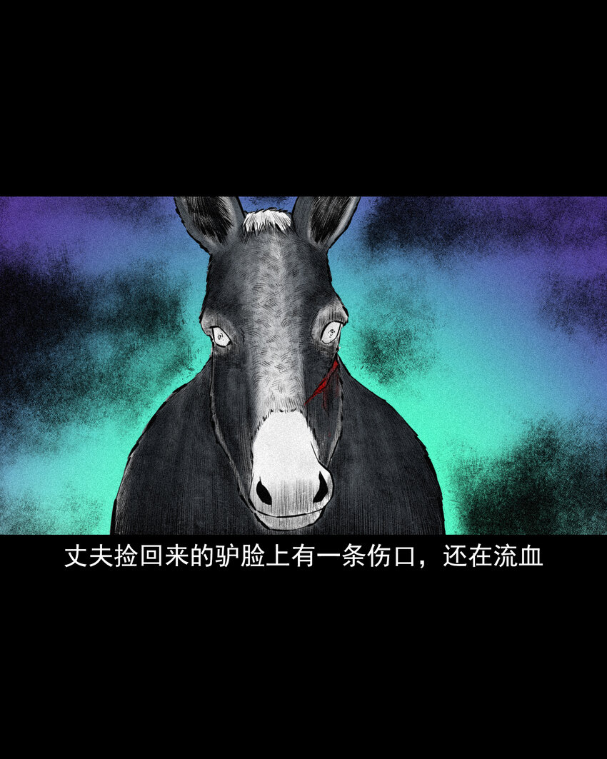 72 第72话寡妇降驴妖31
