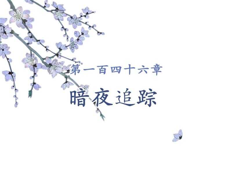 第146话 暗夜追踪1