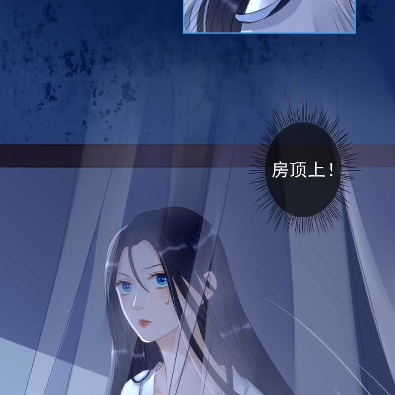 第146话 暗夜追踪10