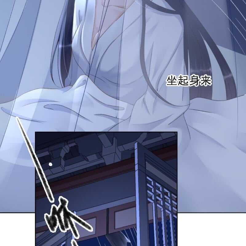 第146话 暗夜追踪11