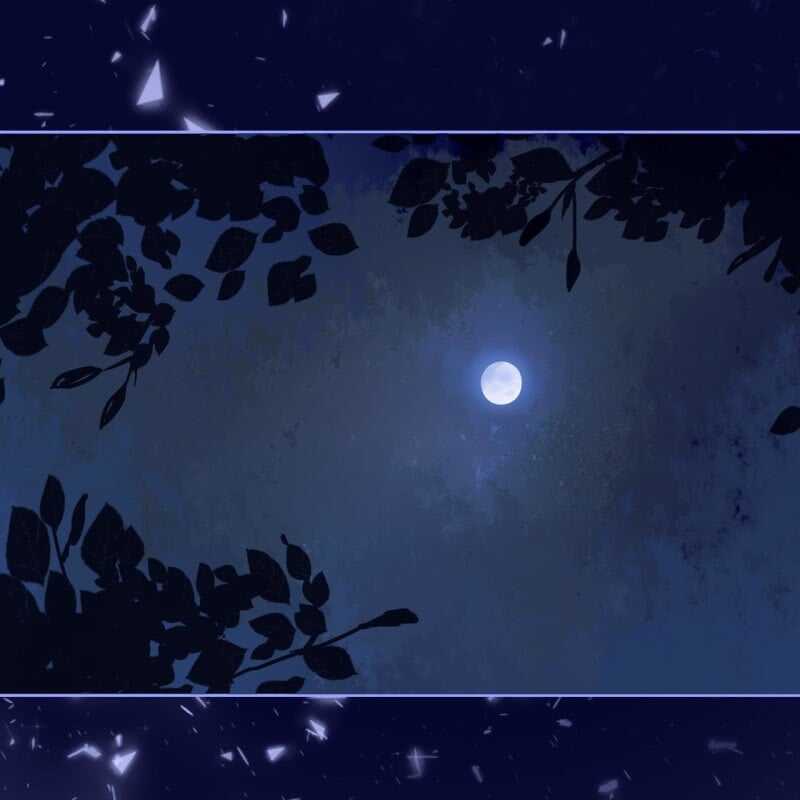 第148话 自己的夫人不能扔25