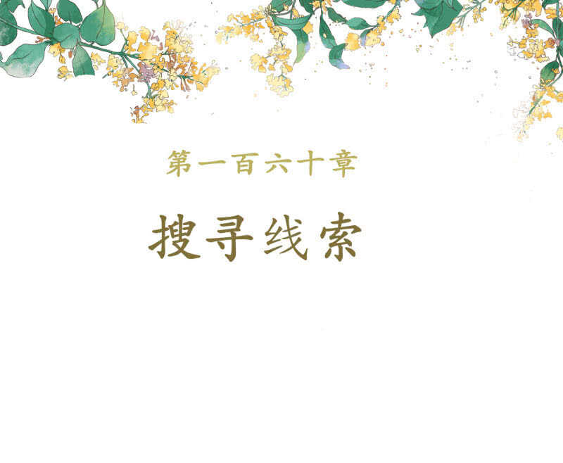 第160话 搜寻线索1