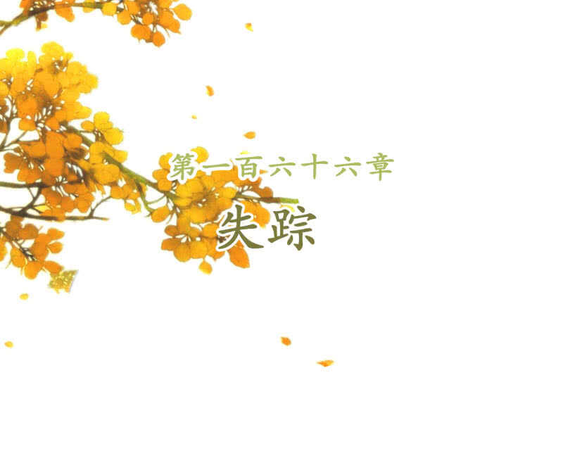 第166话 失踪1