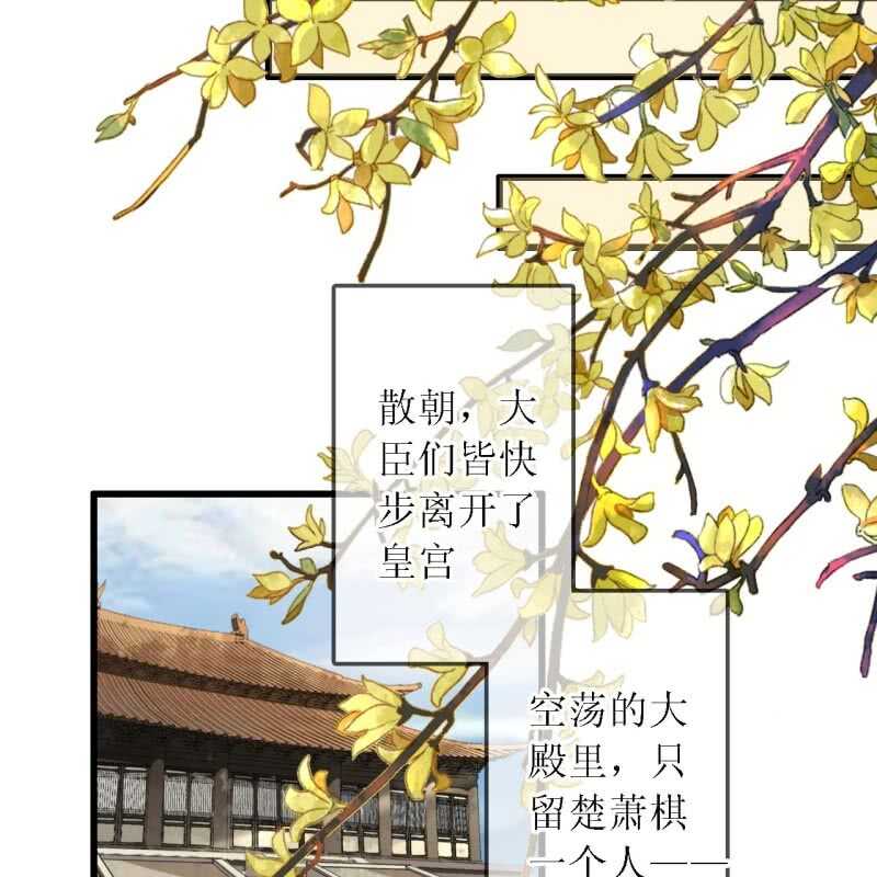 第183话 新后登场7
