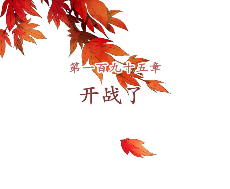 第195话 开战了1