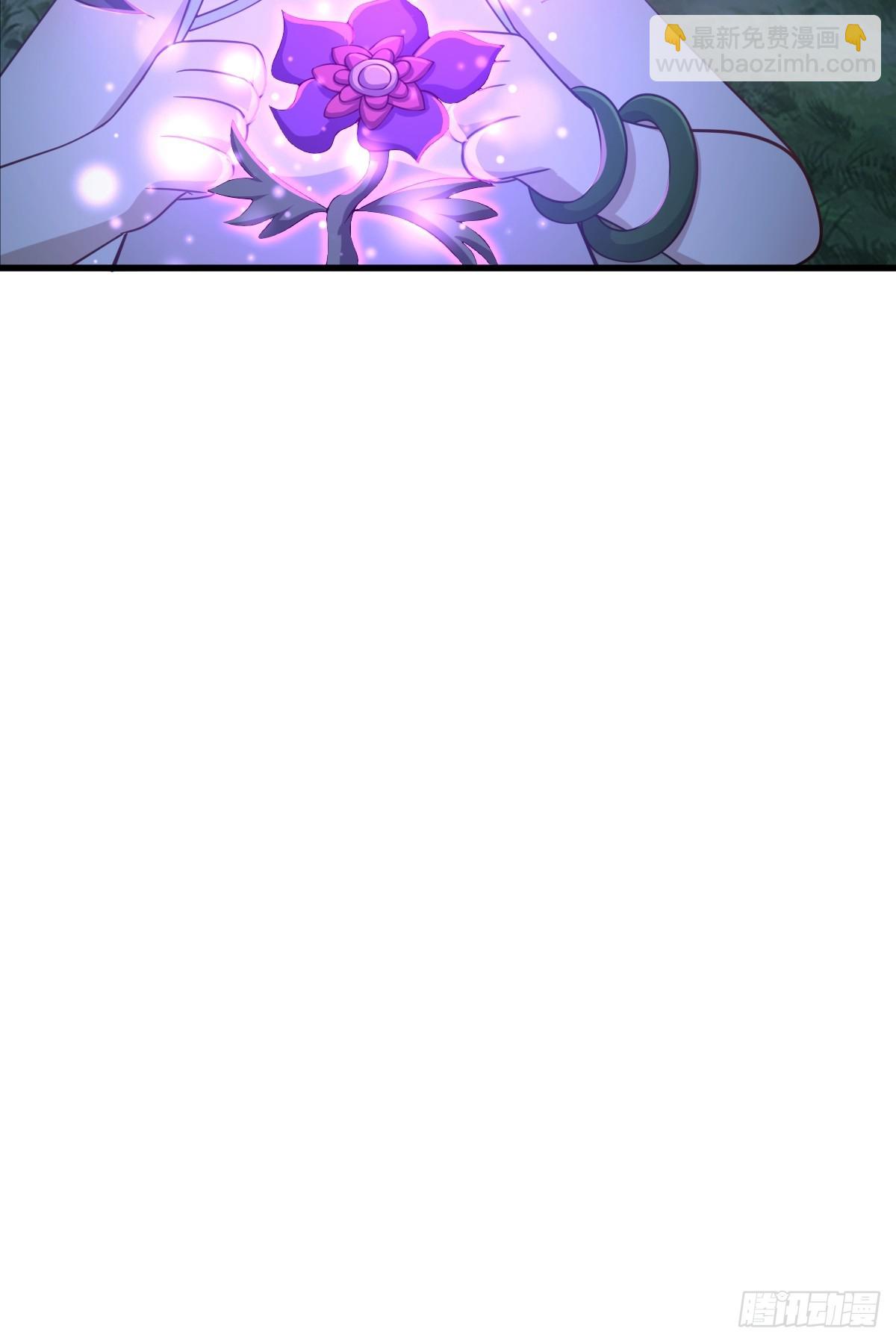 6732