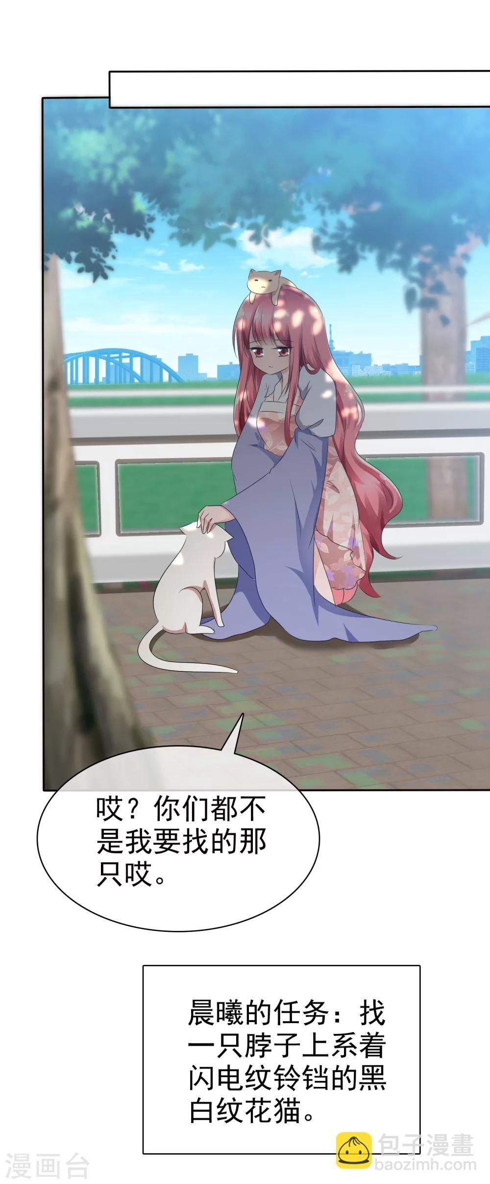 第66话 萌宠少女与猫5