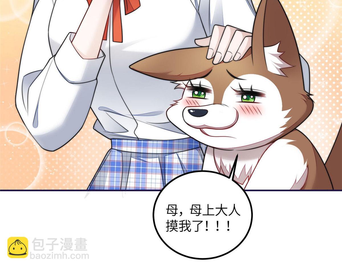 75 拍卖会开始10
