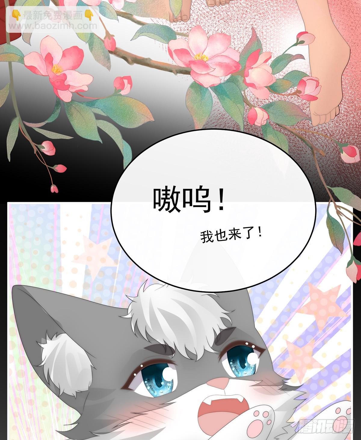 天喜红鸾 下（完结）11