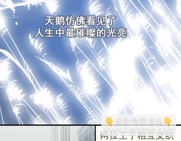 第11话  天鹅湖23