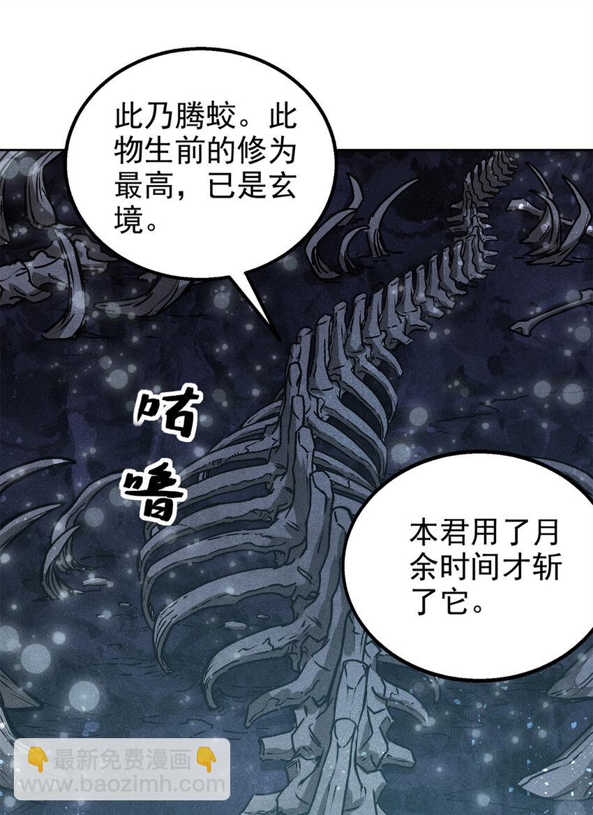 120 白骨林37