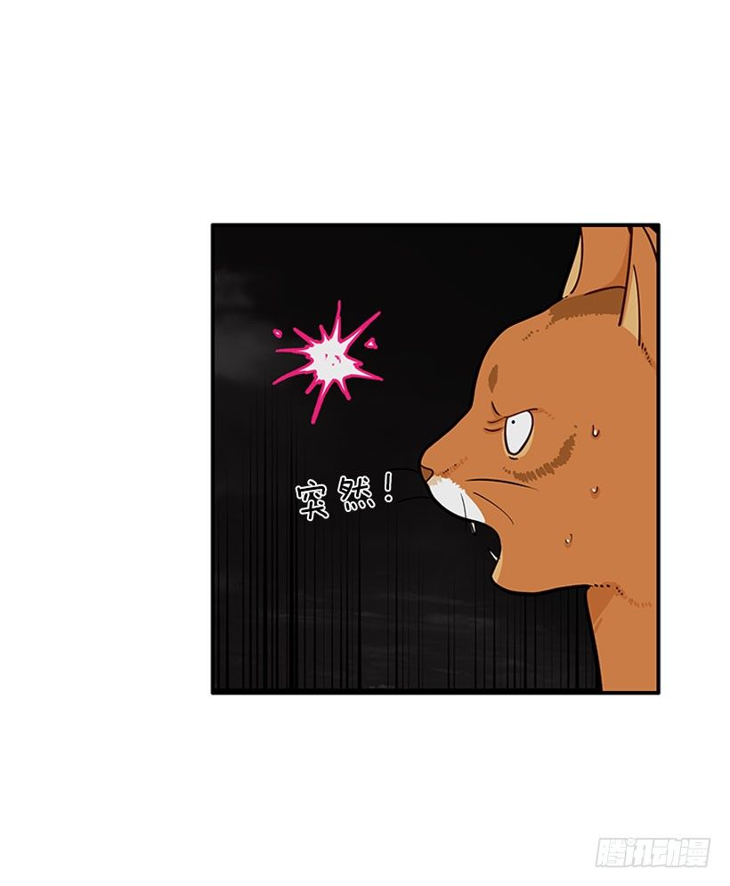 真正的原因37