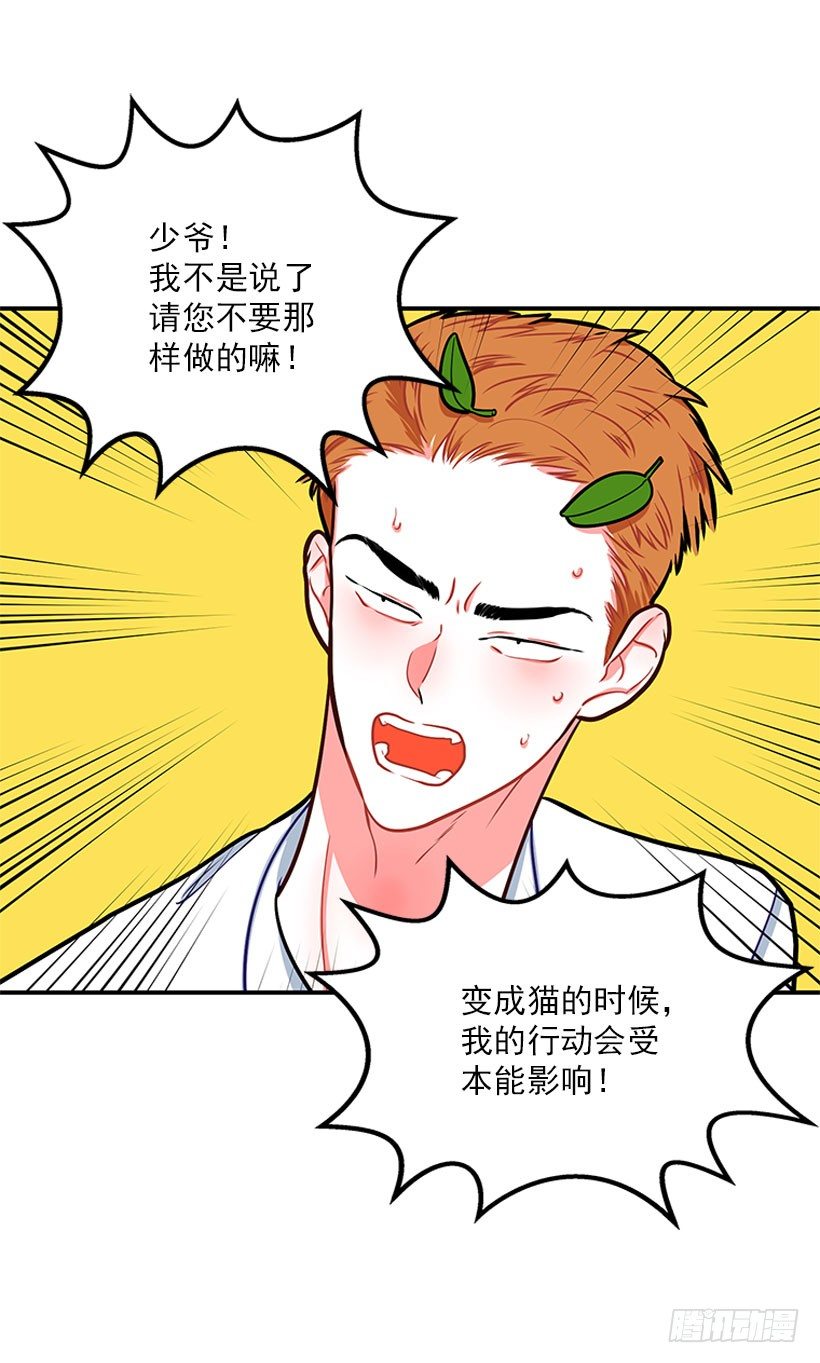 真正的原因40