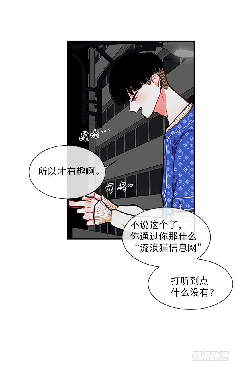 真正的原因41