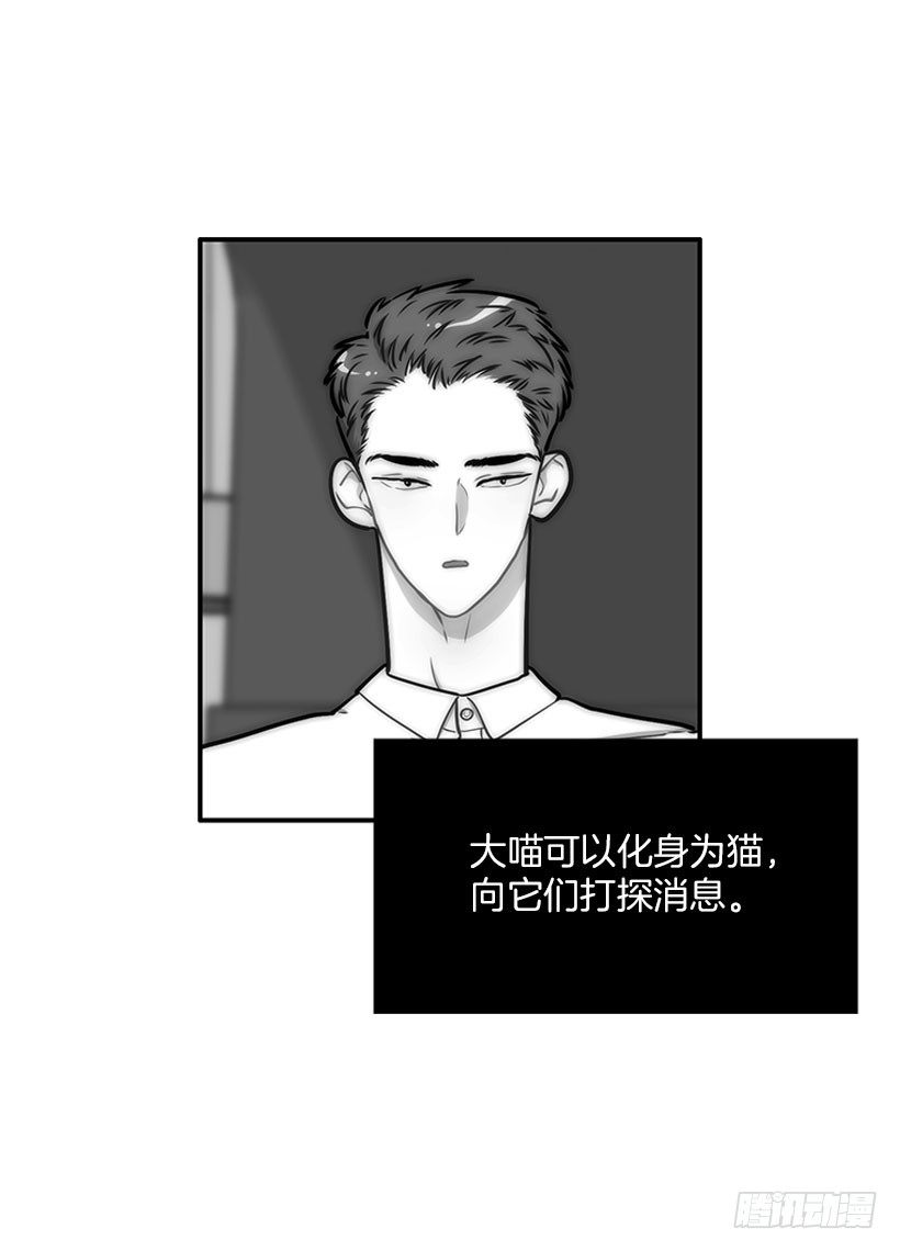 真正的原因44
