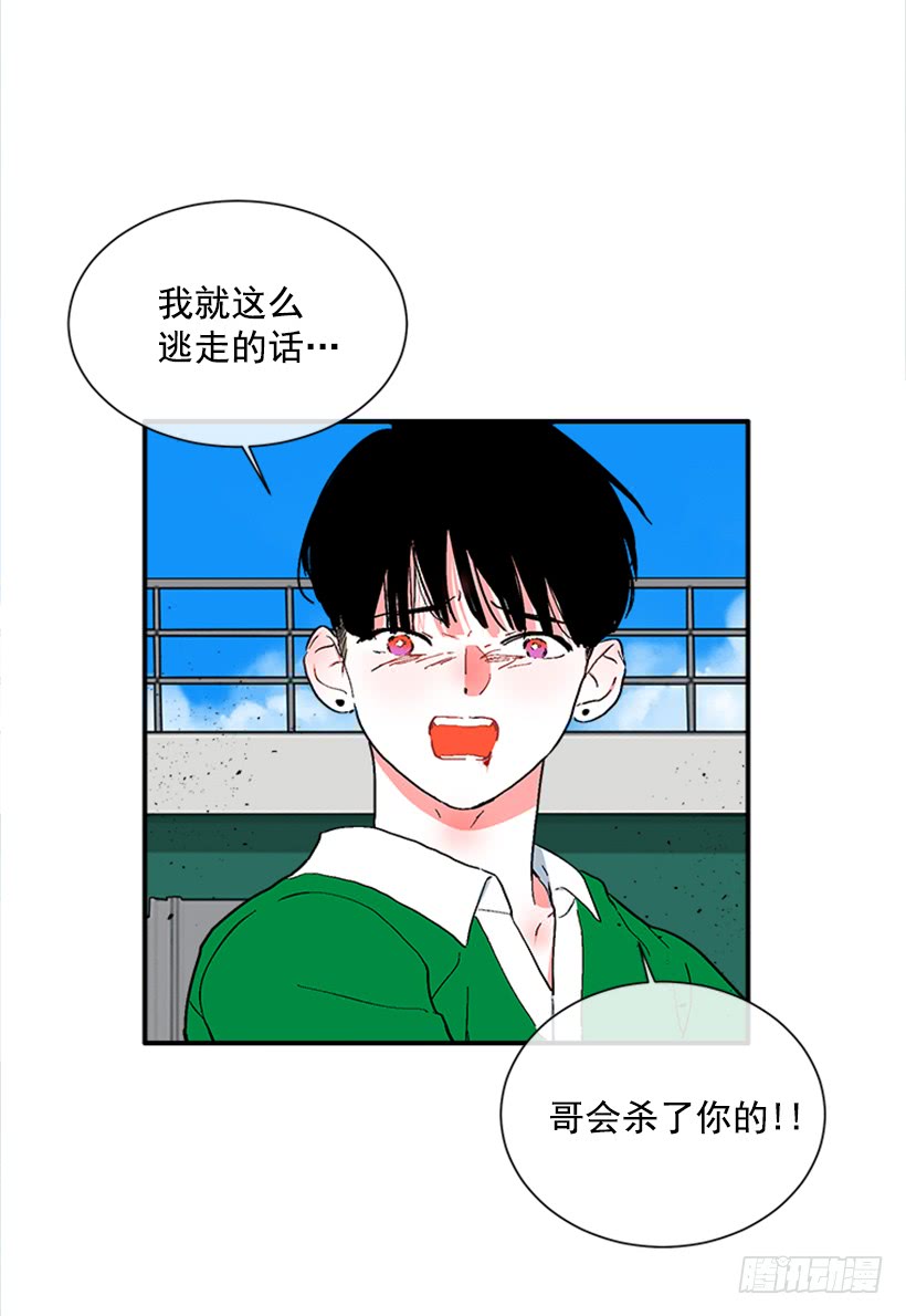 140.消散的大喵2