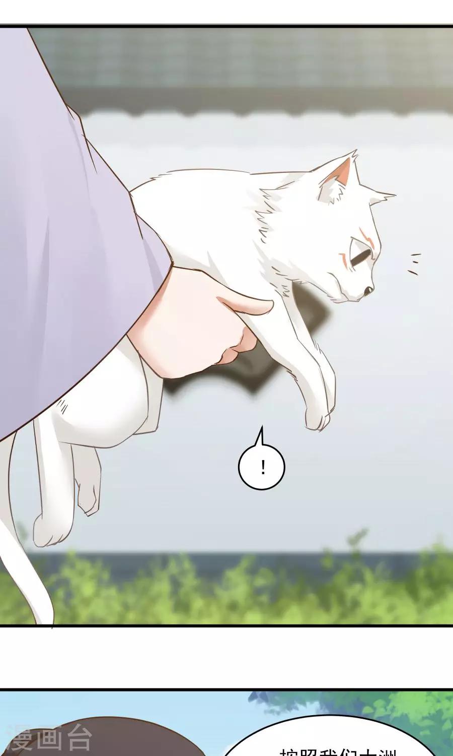 第65话 真才实学！！12