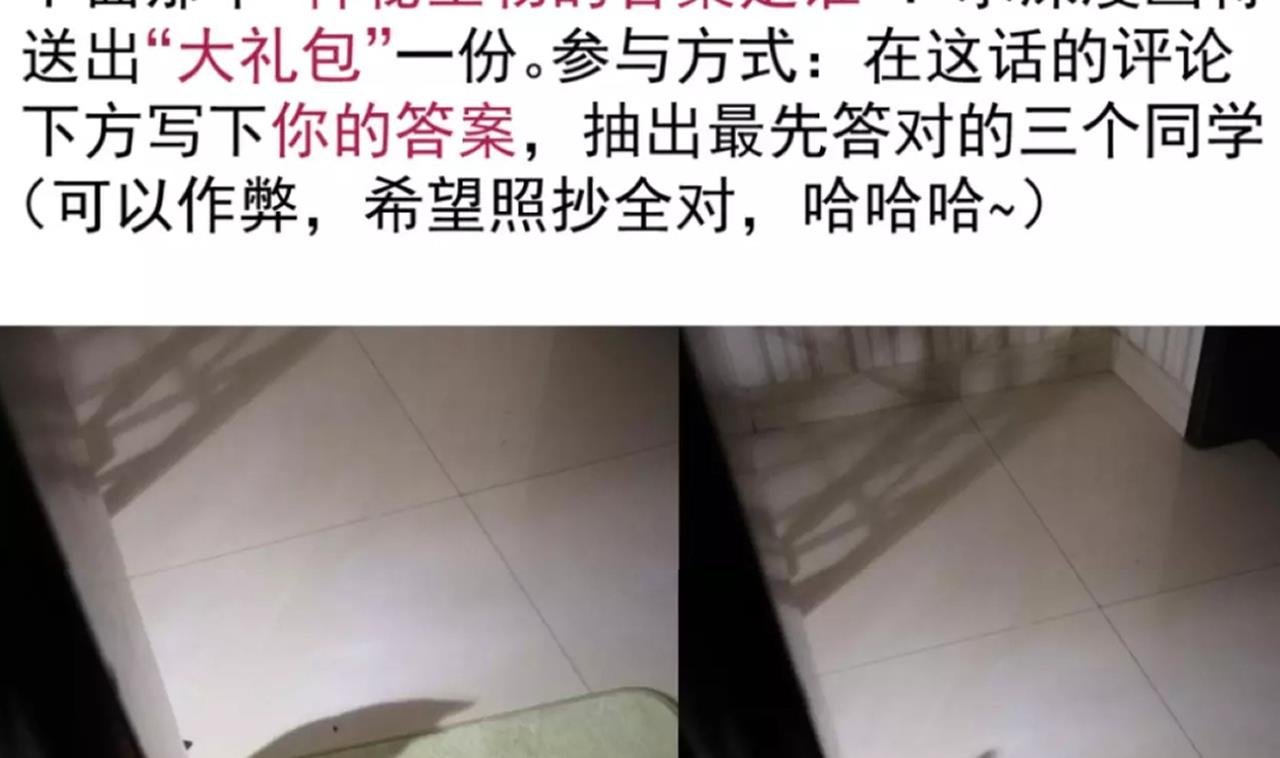 第126话 昏睡的小白43