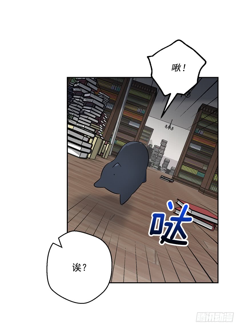 129.最后一条通道41