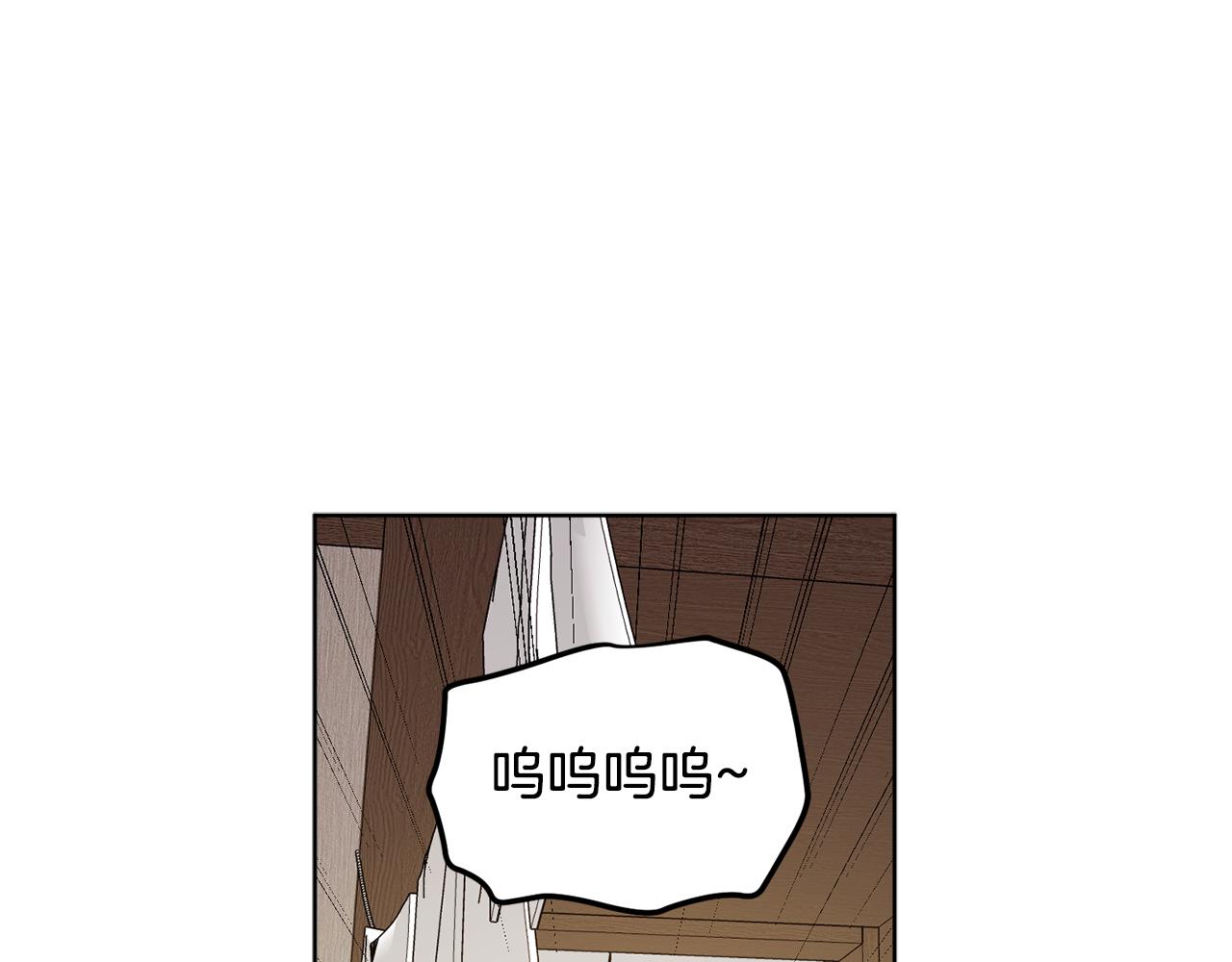 第二季完结篇 天才设计师12
