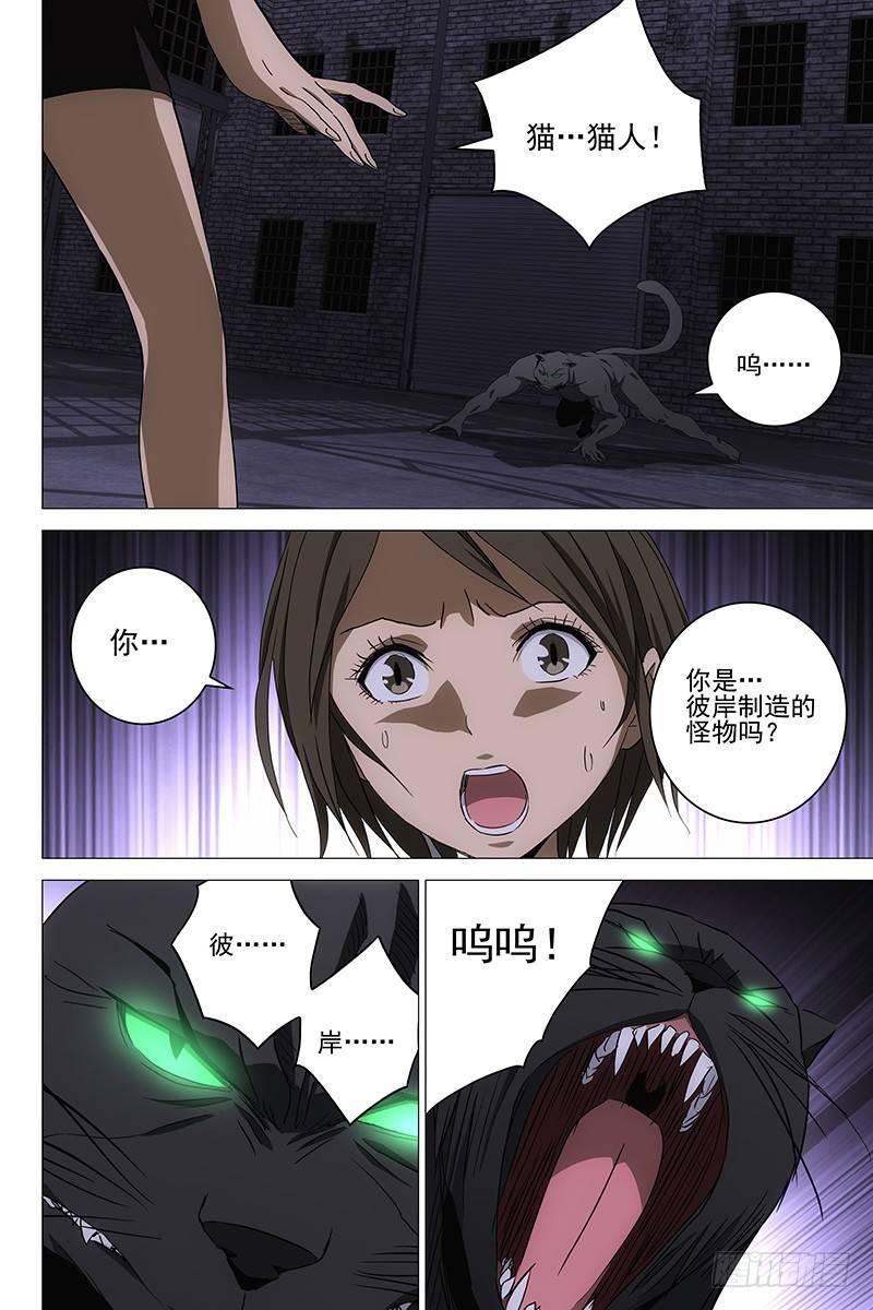 095猫面人 十三8