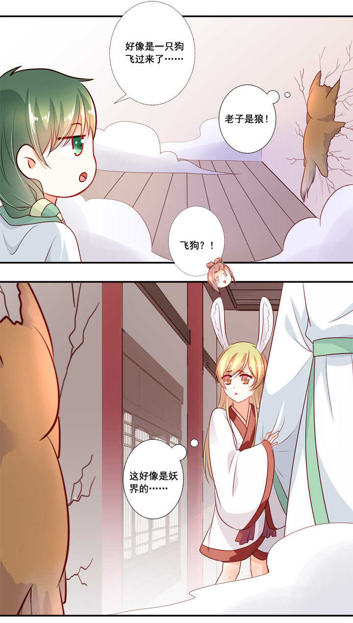 第38话  我们回去吧11