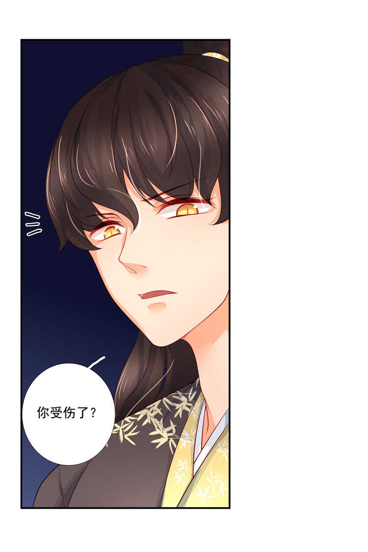 56 太白的记忆16